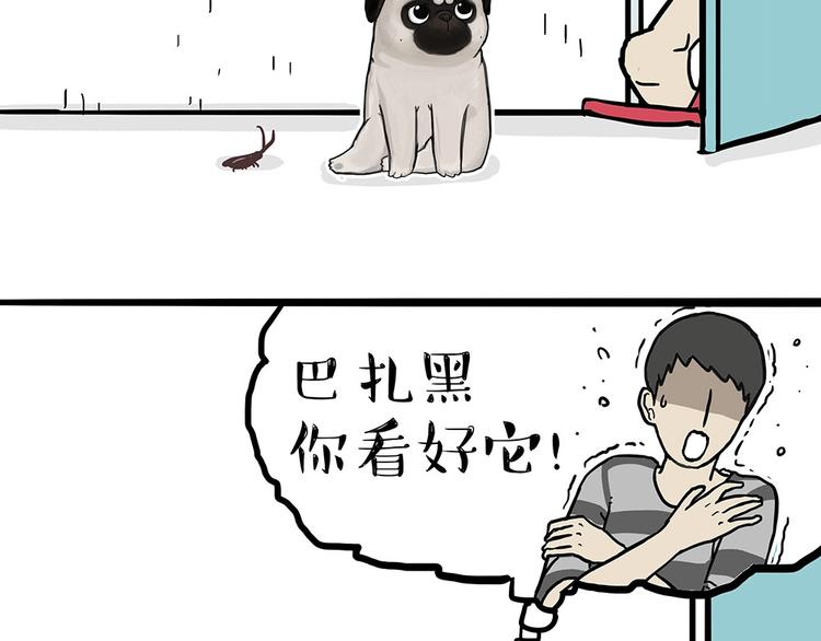 第181话 零食风波与蟑螂风波57
