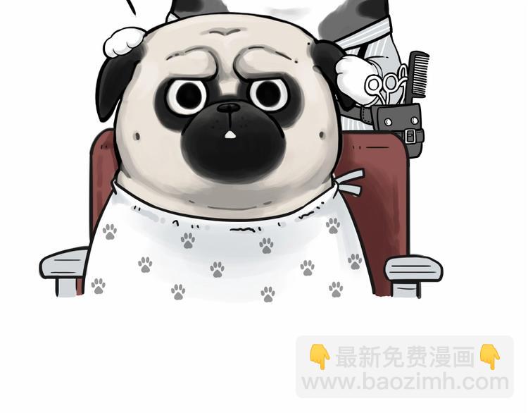 第182话 巴扎黑换了个头…型17