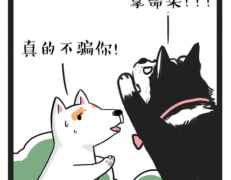 第184话 牛能的烦恼40