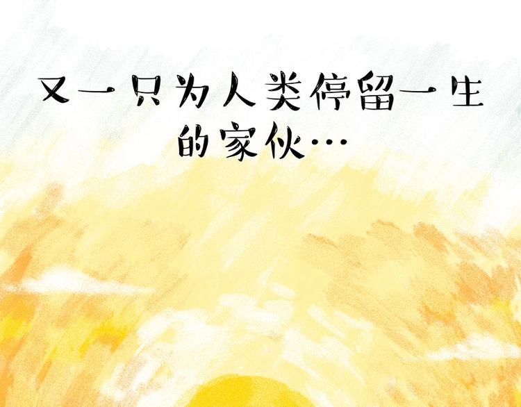 第184话 牛能的烦恼96