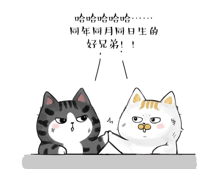 第185话 好兄弟！10
