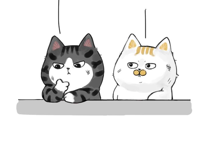 第185话 好兄弟！17