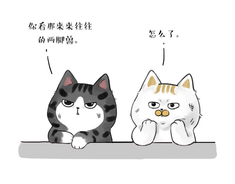 第185话 好兄弟！18