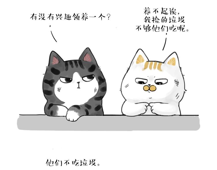 第185话 好兄弟！19