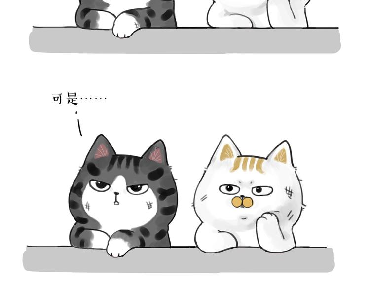 第185话 好兄弟！22