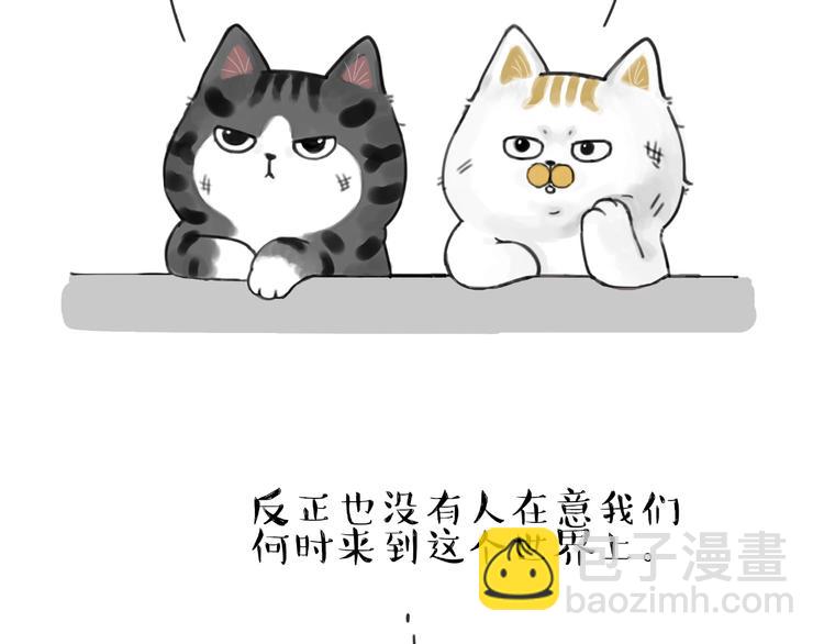 第185话 好兄弟！3