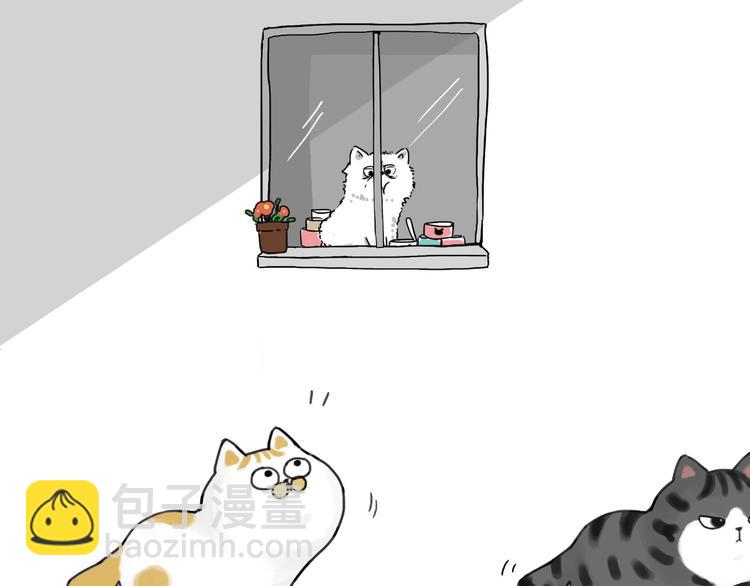 第185话 好兄弟！34