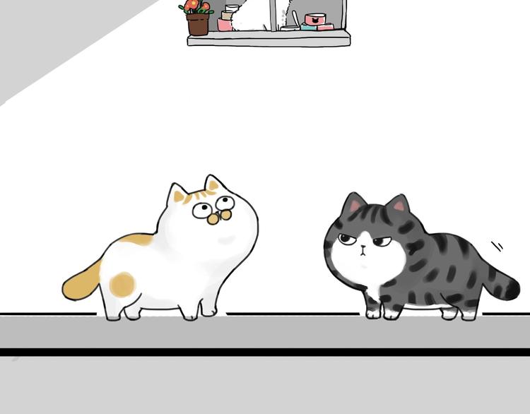 第185话 好兄弟！36