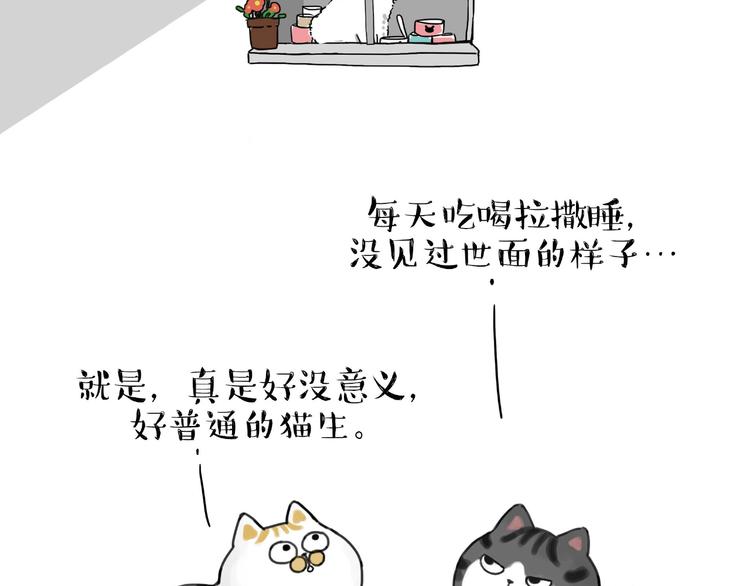 第185话 好兄弟！41