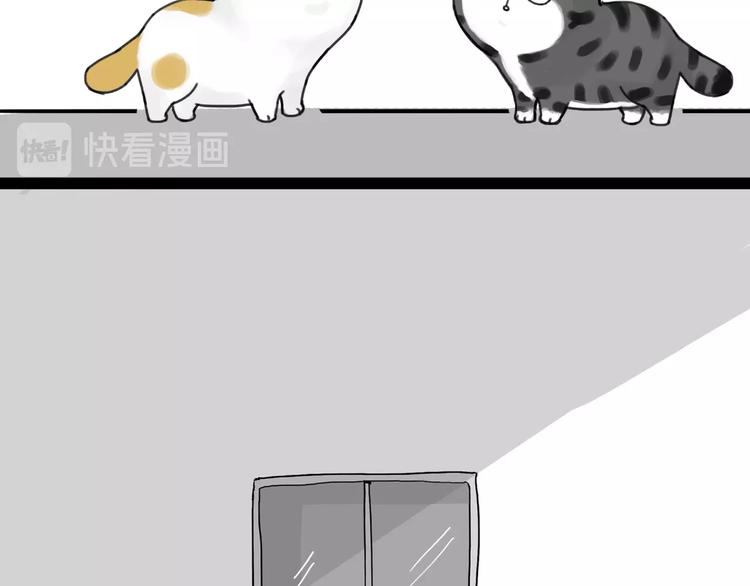 第185话 好兄弟！42