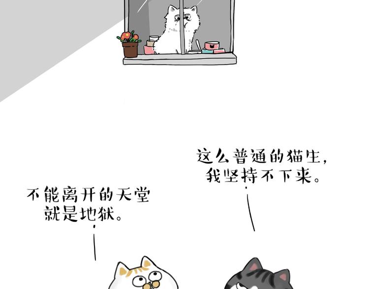 第185话 好兄弟！43