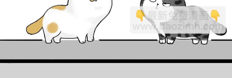 第185话 好兄弟！44