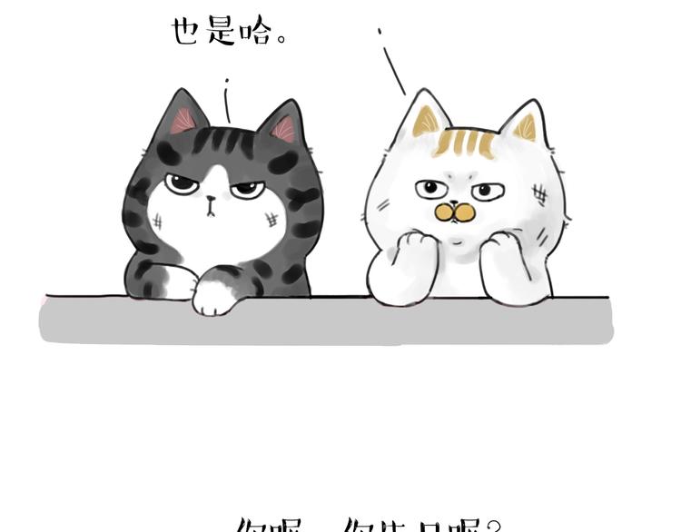 第185话 好兄弟！5