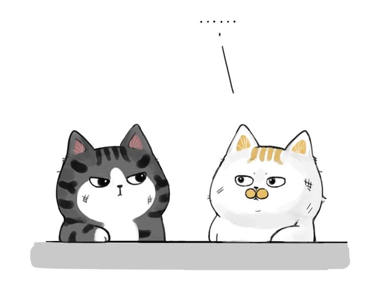 第185话 好兄弟！9