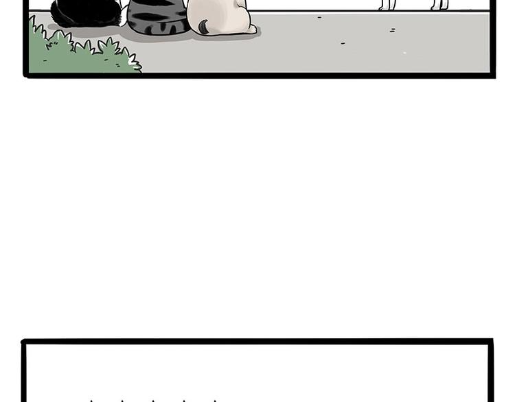 第187话 巴扎黑终究是错付了37