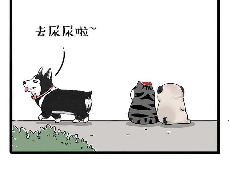 第187话 巴扎黑终究是错付了41