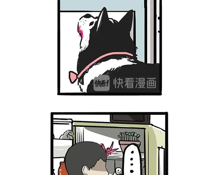 第187话 巴扎黑终究是错付了5