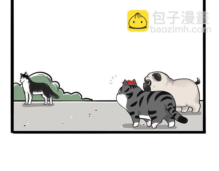 第187话 巴扎黑终究是错付了52