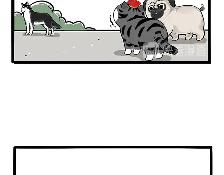 第187话 巴扎黑终究是错付了54