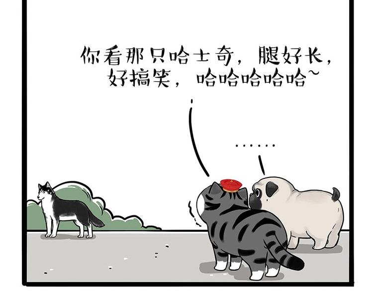 第187话 巴扎黑终究是错付了55