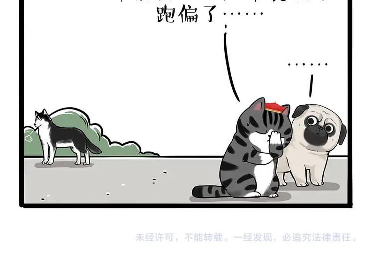 第187话 巴扎黑终究是错付了60