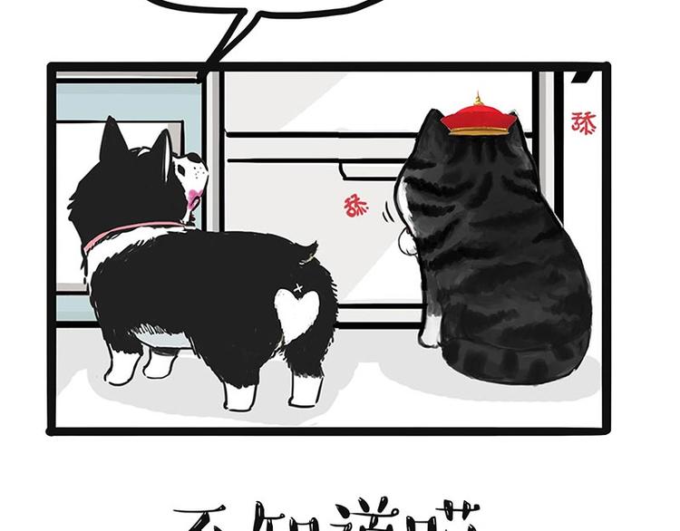 第187话 巴扎黑终究是错付了7