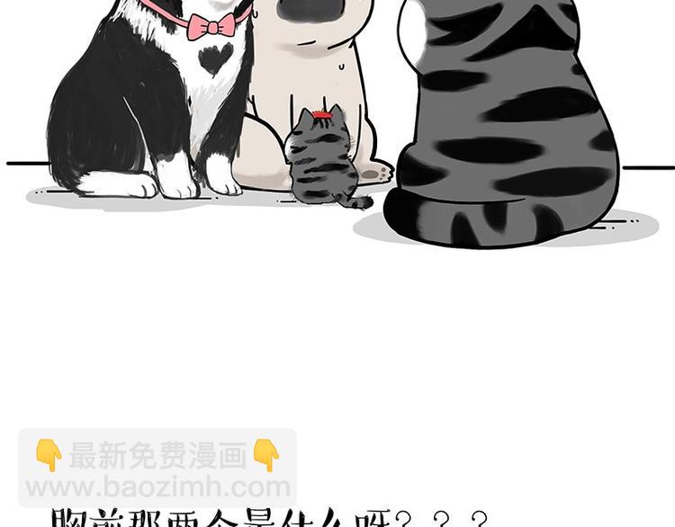 第188话 收破烂也不收你礼物21