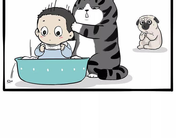 第191话 猫猫无证看孩子？！33