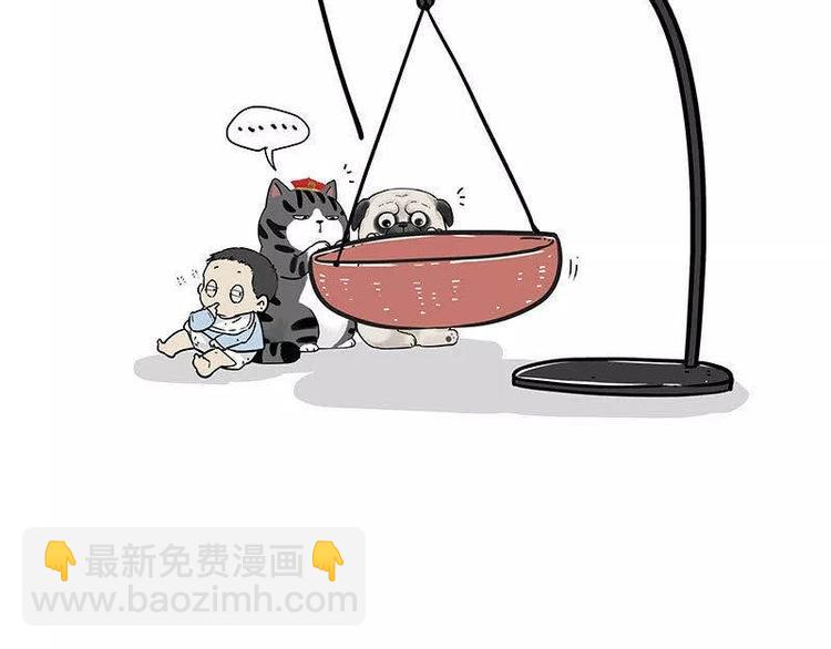 第191话 猫猫无证看孩子？！43