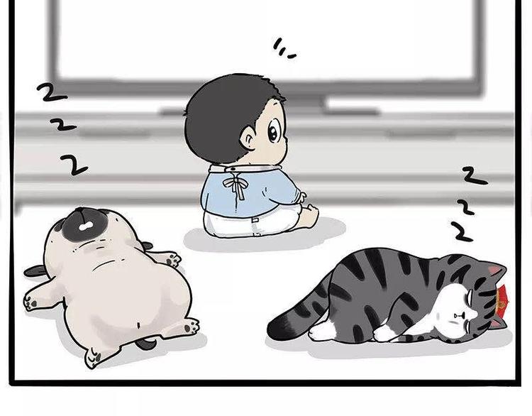 第191话 猫猫无证看孩子？！66