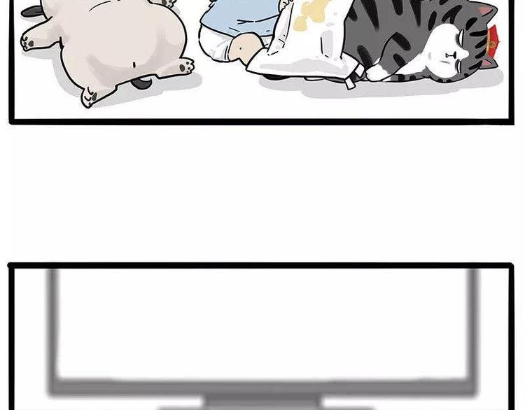 第191话 猫猫无证看孩子？！68
