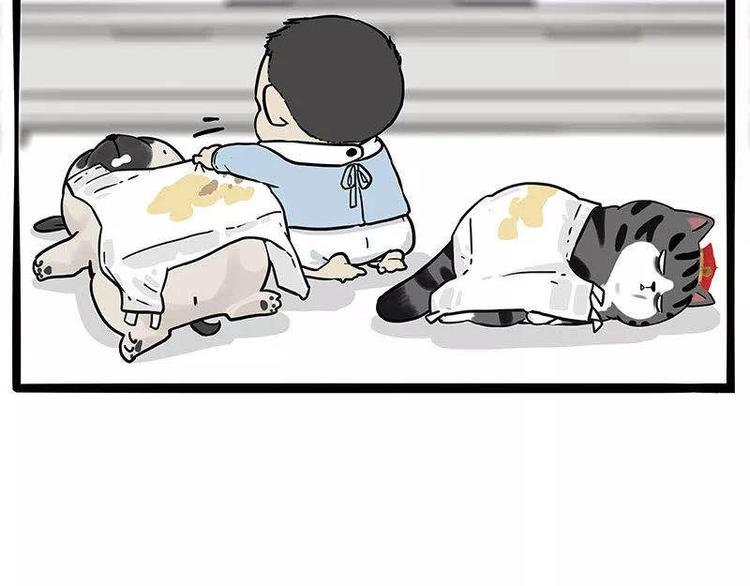 第191话 猫猫无证看孩子？！69