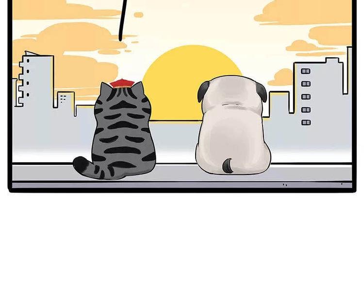第191话 猫猫无证看孩子？！79