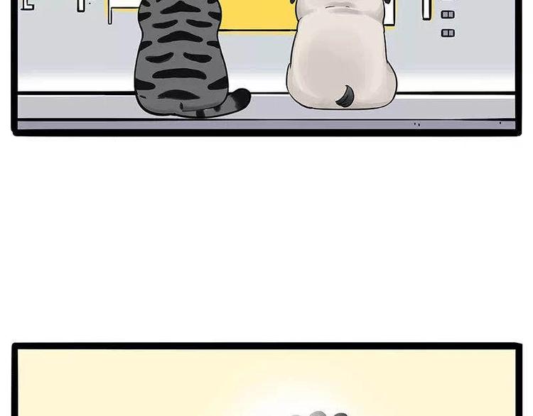第191话 猫猫无证看孩子？！81