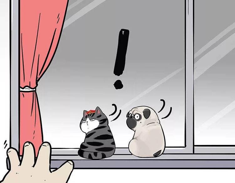 第191话 猫猫无证看孩子？！84