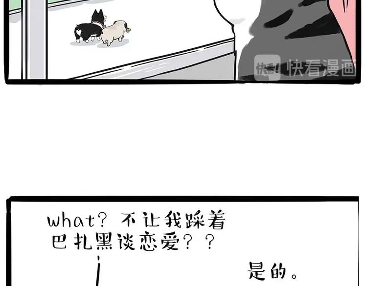 第192话 大型爱情翻车现场17