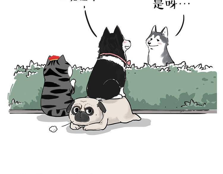 第192话 大型爱情翻车现场38