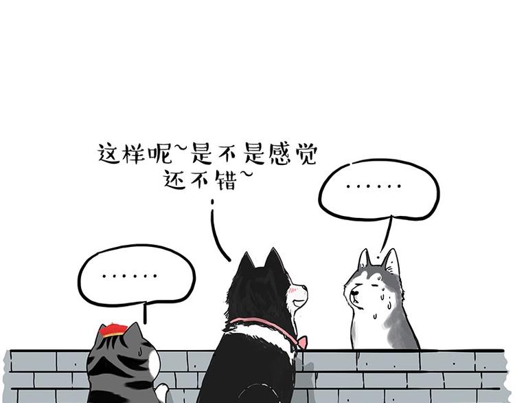 第192话 大型爱情翻车现场42