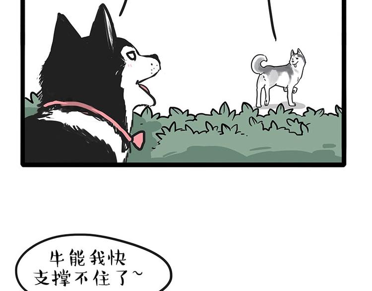 第192话 大型爱情翻车现场5