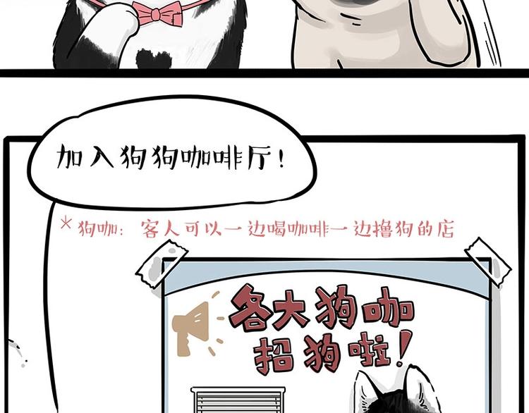 第194话 生活不易，猫狗打工1