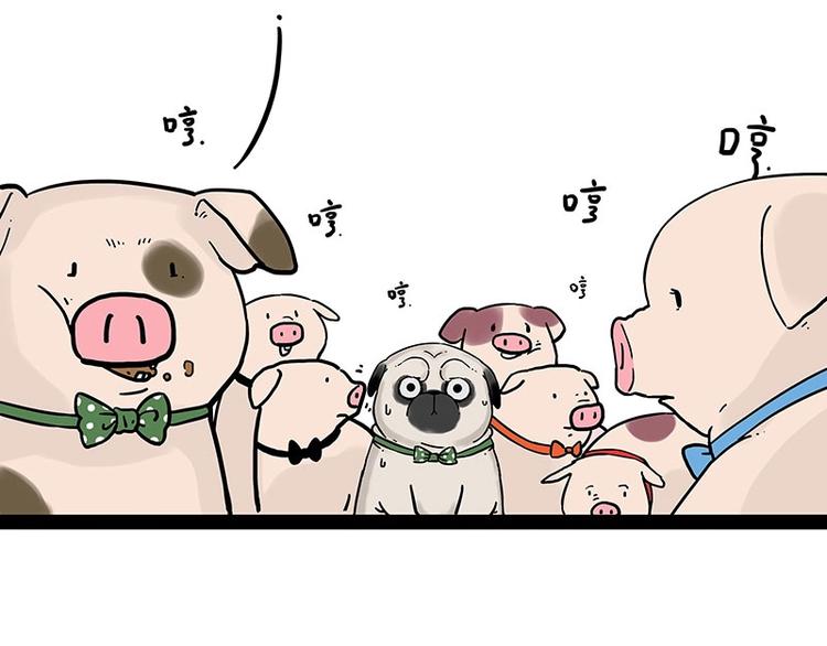 第194话 生活不易，猫狗打工18