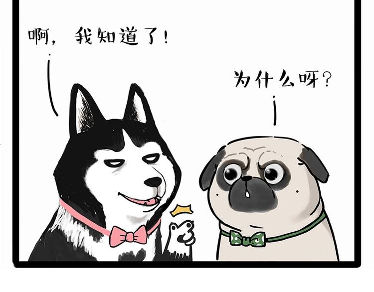 第194话 生活不易，猫狗打工25
