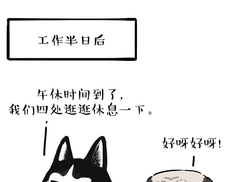 第194话 生活不易，猫狗打工28
