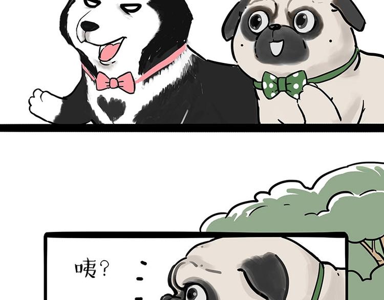 第194话 生活不易，猫狗打工29