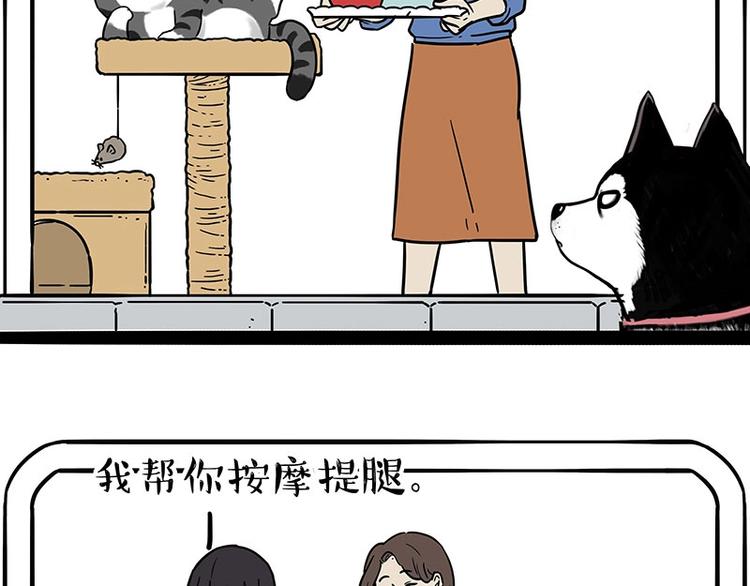 第194话 生活不易，猫狗打工35