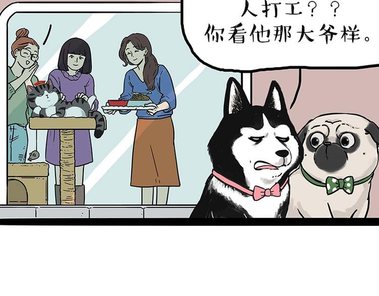 第194话 生活不易，猫狗打工39