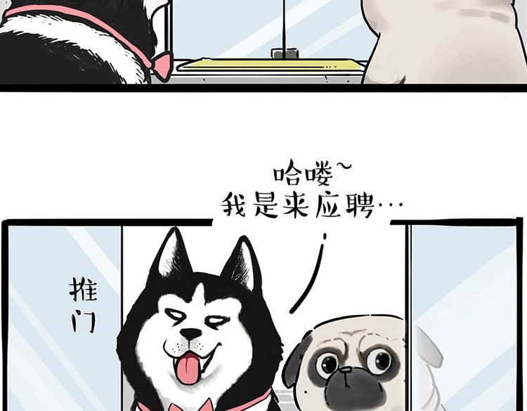 第194话 生活不易，猫狗打工4