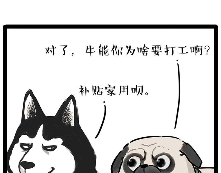 第194话 生活不易，猫狗打工43