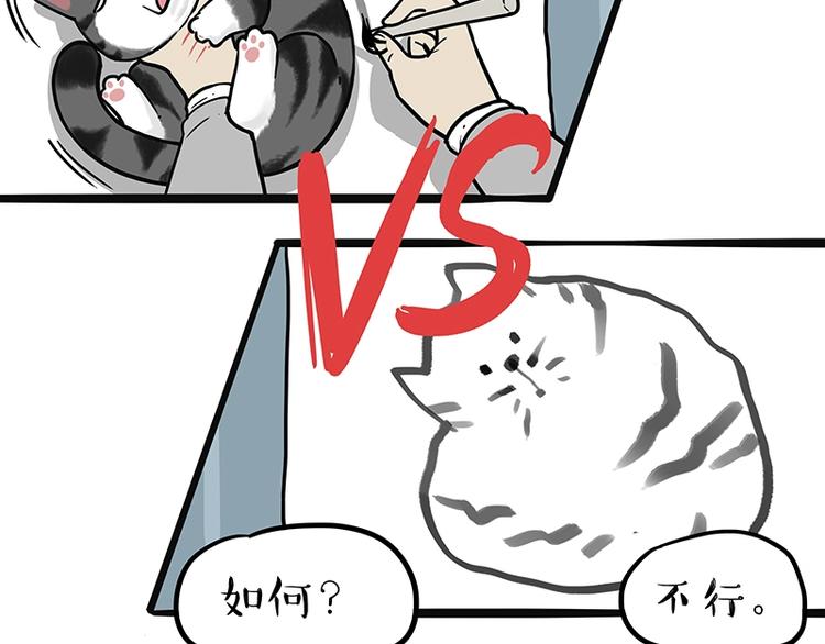 第196话 我们一起画猫猫20