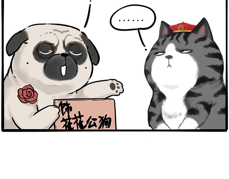 第197话 猫怼狗11